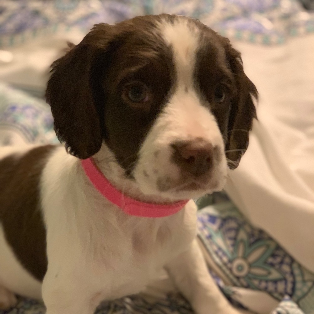 Meet your Posher, Katie